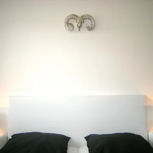 Appartement A-partments, Keulen